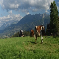 NA SZCZYCIE loma Tatravuorilla Zakopanessa